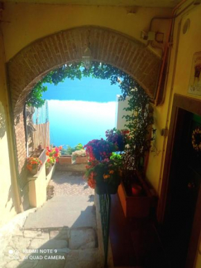 Giardino sul Lago